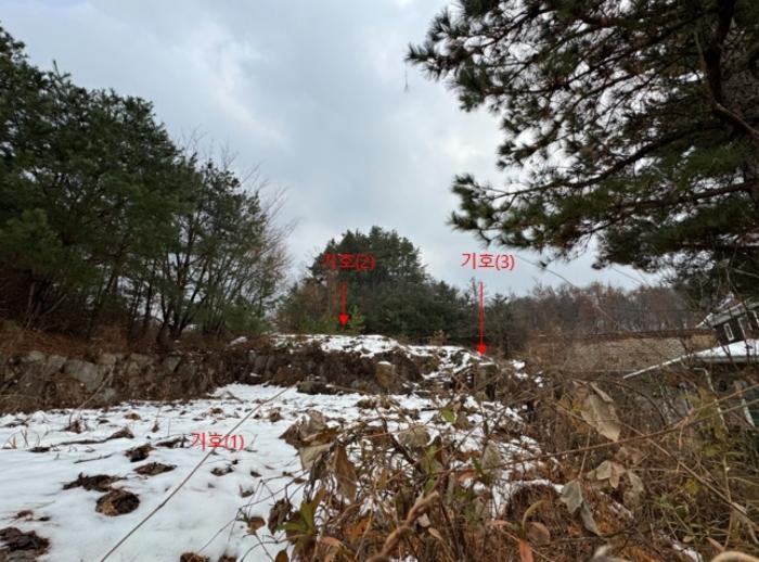 법원경매 2024타경5191 사진5 | 양평군 강하면 왕창리 443-11 기타 경매