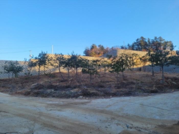 2024타경6217 법원경매 사진5 | 경기 양평군 임야 경매