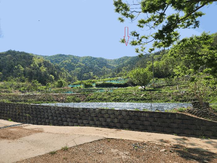 2025타경223 법원경매 사진2 | 대구 군위군 임야 경매