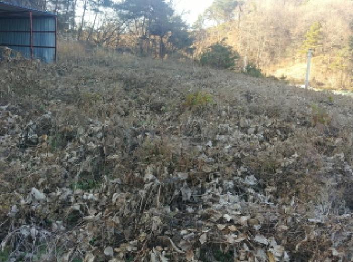 2025타경3971 법원경매 사진9 | 충남 금산군 창고 경매