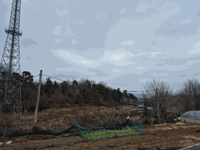 세종 장군면 하봉리 산20-50 임야 경매 물건 사진