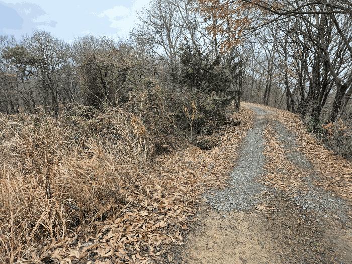 세종 장군면 하봉리 산20-50 임야 사진 4