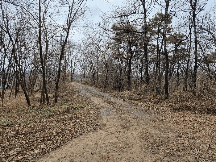 세종 장군면 하봉리 산20-50 임야 사진 6