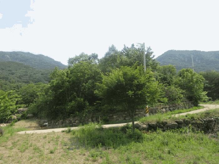 2025타경10184 법원경매 사진2 | 대구 군위군 임야 경매