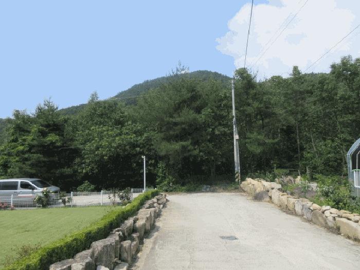 2025타경10184 법원경매 사진5 | 대구 군위군 임야 경매