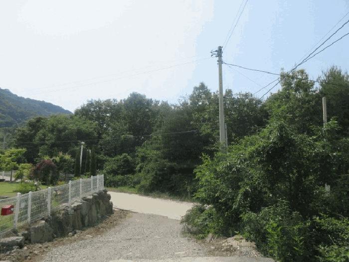 2025타경10184 법원경매 사진7 | 대구 군위군 임야 경매