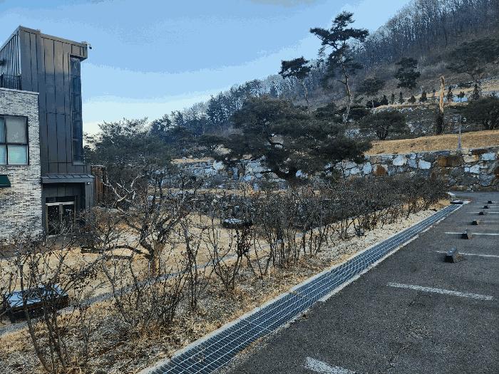 2025타경52145 법원경매 사진17 | 청주 서원구 근린시설 경매