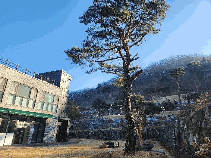 2025타경52145 법원경매 사진3 | 청주 서원구 근린시설 경매