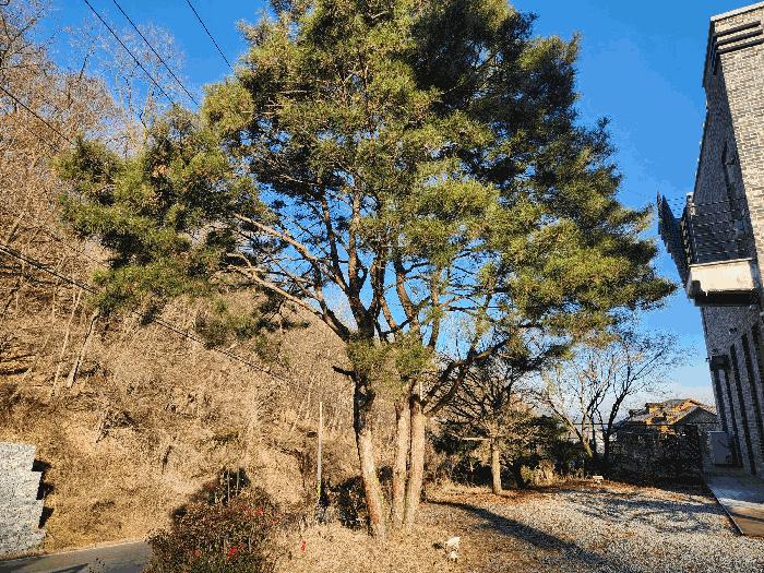 2025타경52145 법원경매 사진8 | 청주 서원구 근린시설 경매