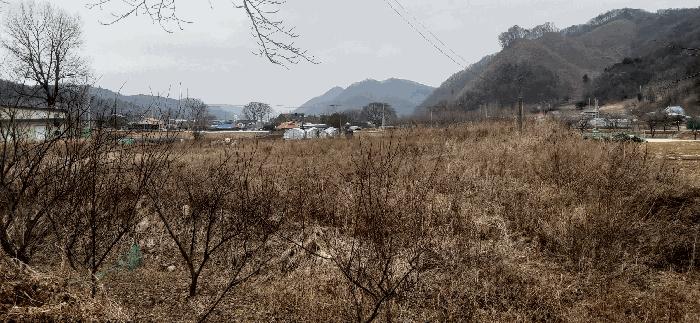 2025타경52156 법원경매 사진2 | 충북 괴산군 답 경매