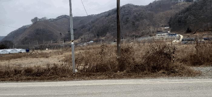 2025타경52156 법원경매 사진4 | 충북 괴산군 답 경매