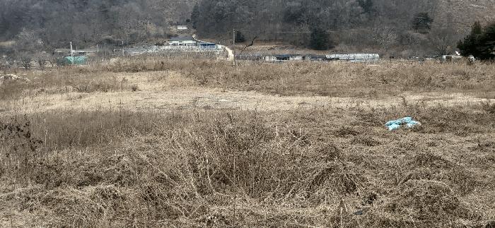 2025타경52156 법원경매 사진5 | 충북 괴산군 답 경매