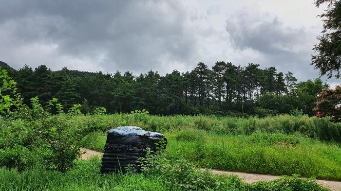 2022타경5329 법원경매 사진17 | 전남 장성군 임야 경매
