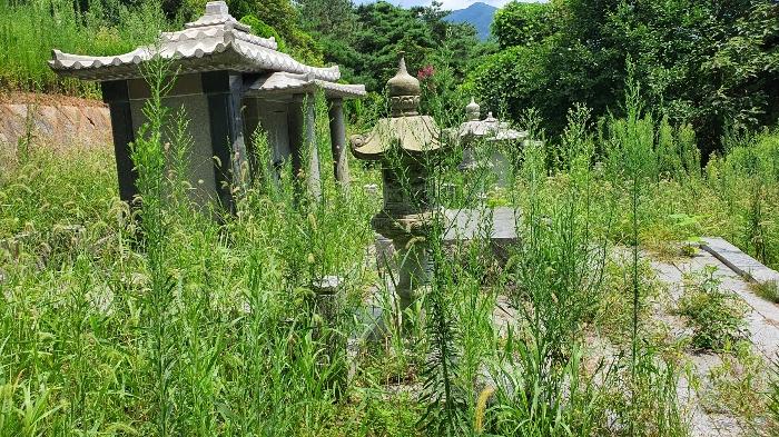 2022타경5329 법원경매 사진5 | 전남 장성군 임야 경매