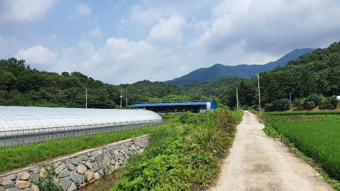 전라남도 장성군 삼계면 부성리 산78-1 법원경매 물건 대표사진