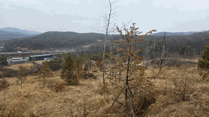 2025타경504056 법원경매 사진14 | 세종 연기면 임야 경매