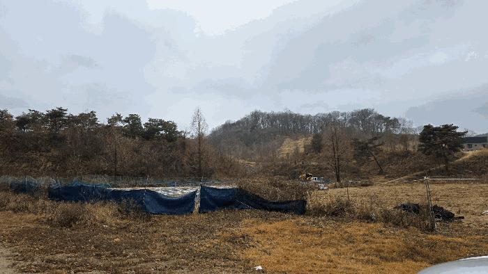 2025타경504056 법원경매 사진5 | 세종 연기면 임야 경매