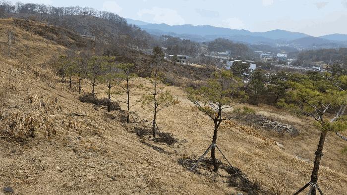 2025타경504056 법원경매 사진8 | 세종 연기면 임야 경매