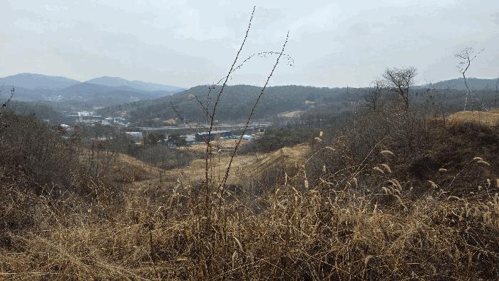 2025타경504056 법원경매 사진9 | 세종 연기면 임야 경매