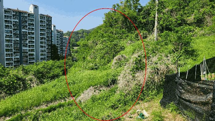 경상북도 김천시 교동 951 법원경매 물건 대표사진
