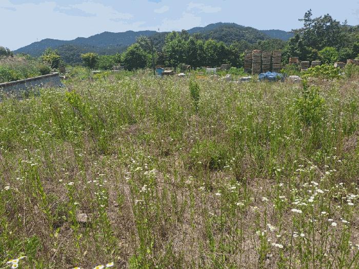 2025타경32900 법원경매 사진6 | 전남 나주시 기타 경매