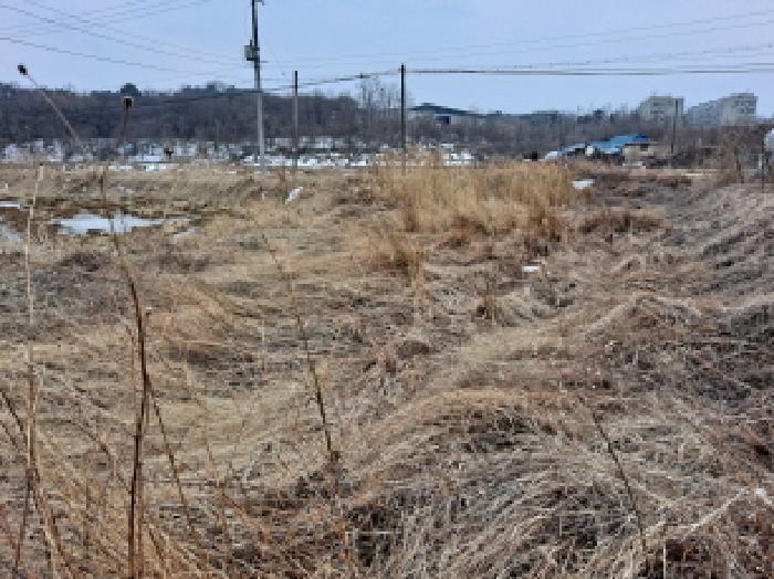 2025타경445 법원경매 사진10 | 충남 당진시 답 경매