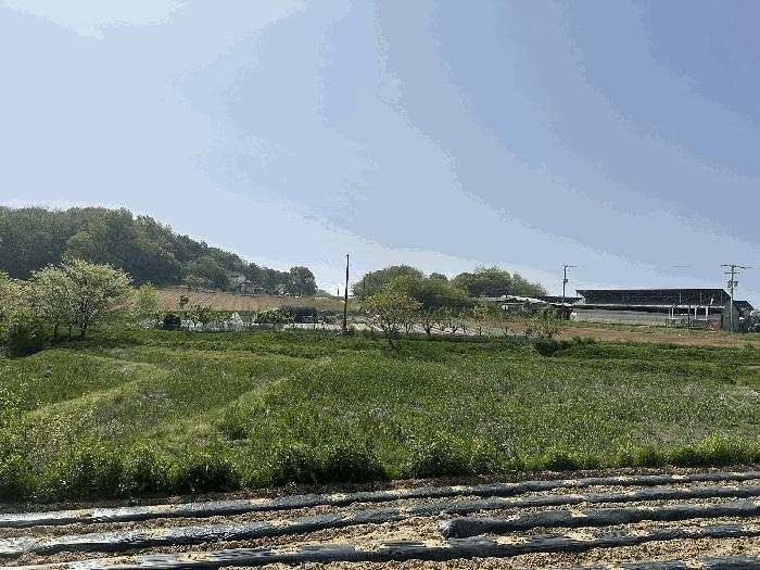 충청남도 당진시 송악읍 금곡리 188 법원경매 물건 대표사진