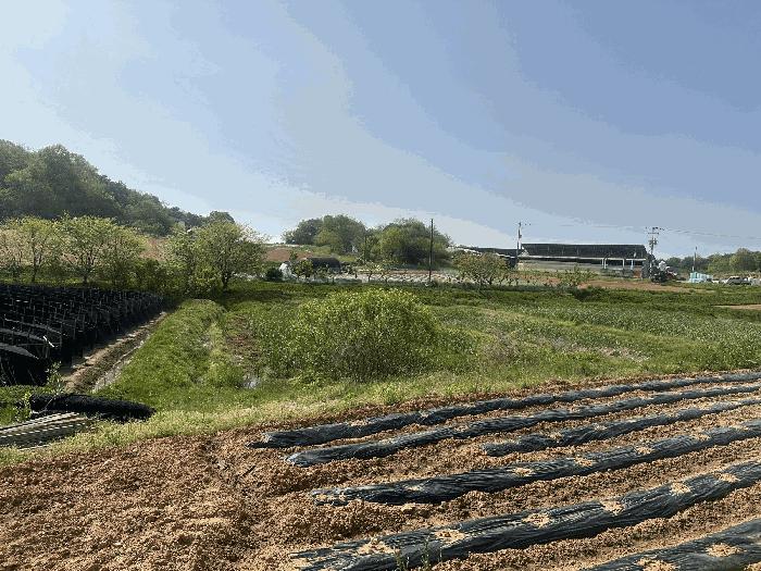 2025타경608 법원경매 사진3 | 충남 당진시 답 경매