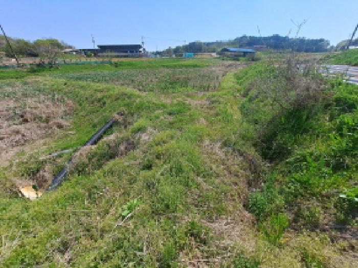 2025타경608 법원경매 사진7 | 충남 당진시 답 경매