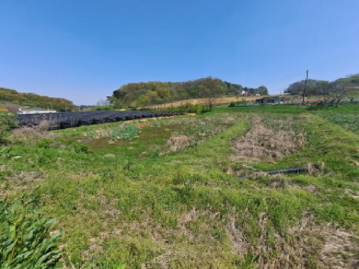 2025타경608 법원경매 사진9 | 충남 당진시 답 경매