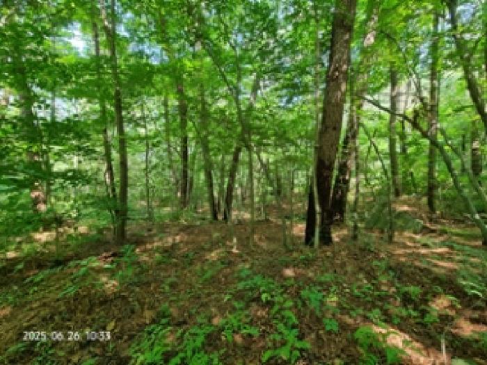 경남 창원시 성산구 토월동 산37 임야 사진 2