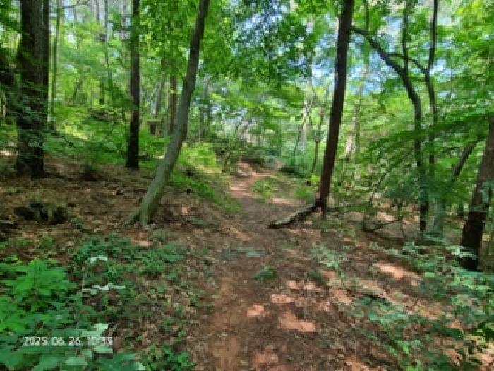 경남 창원시 성산구 토월동 산37 임야 사진 5
