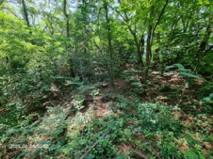 경남 창원시 성산구 토월동 산37 임야 사진 6