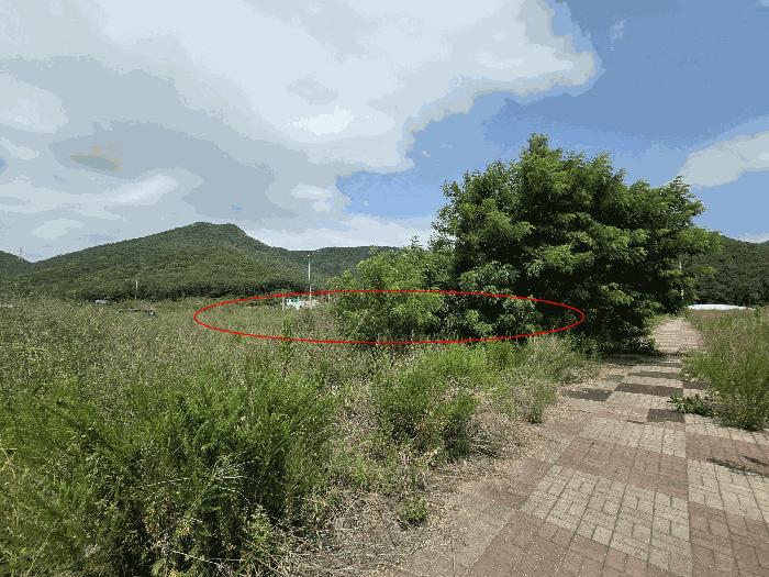 2025타경11747 법원경매 사진7 | 창원 진해구 대지 경매