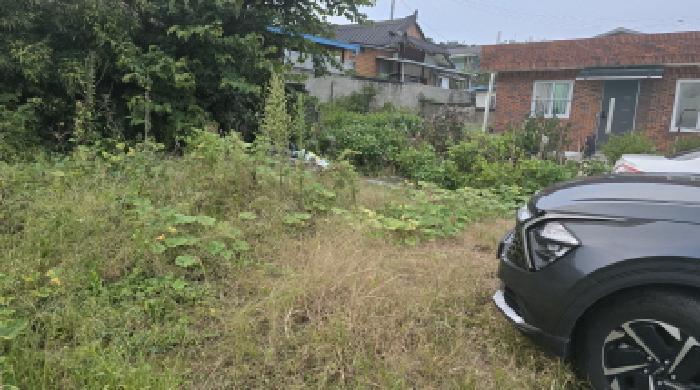 법원경매 2025타경1019 사진3 | 칠곡군 지천면 신리 191 대지 경매