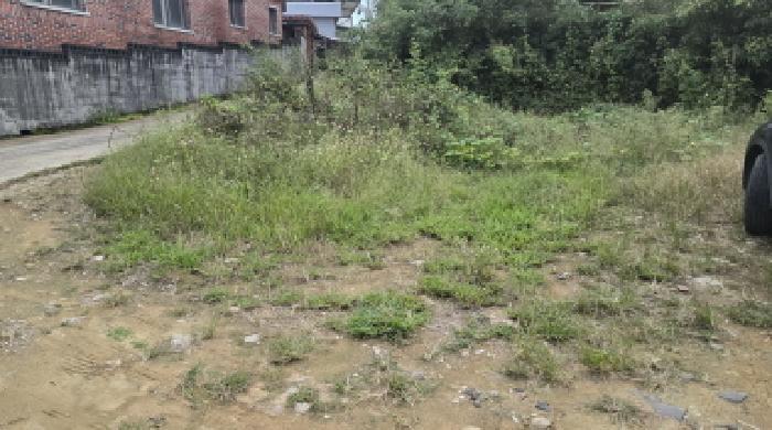 법원경매 2025타경1019 사진5 | 칠곡군 지천면 신리 191 대지 경매