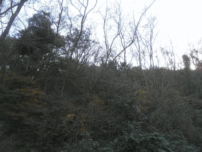 경남 창원시 의창구 동읍 봉산리 산69 임야 사진 2