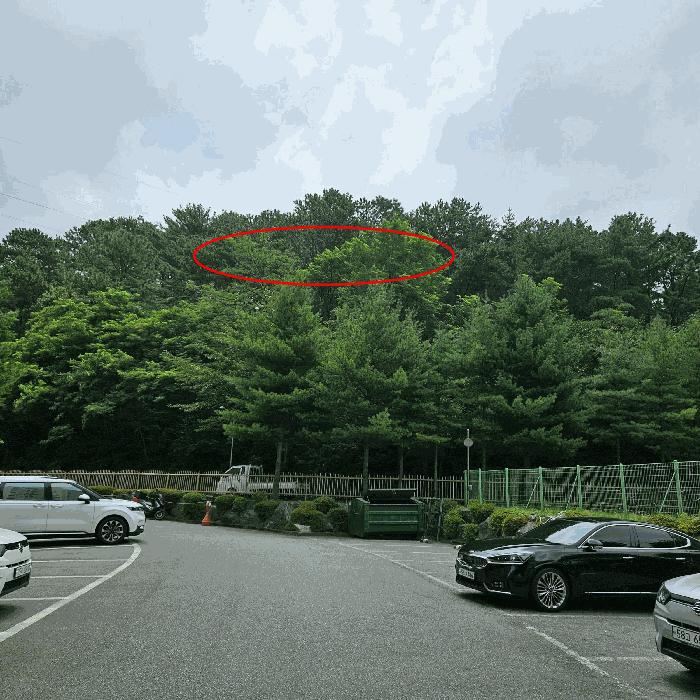 2025타경12020 법원경매 사진2 | 경남 양산시 임야 경매