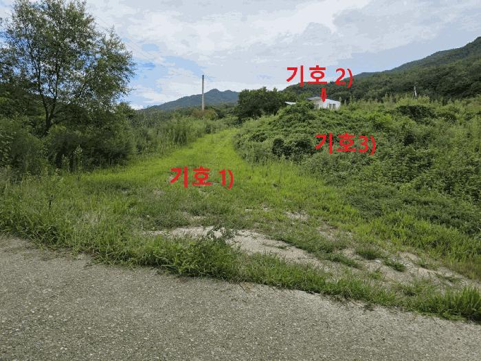경상북도 성주군 초전면 월곡리 79 법원경매 물건 대표사진