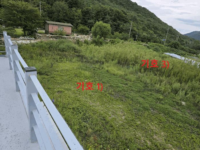 법원경매 2025타경2597 사진4 | 성주군 초전면 월곡리 79 주택건물 경매