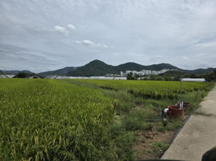 법원경매 2025타경2641 사진2 | 대구 달성군 다사읍 박곡리 358 답 경매