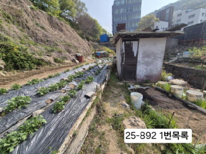 법원경매 2025타경892 사진5 | 부산 사상구 주례동 임야 경매
