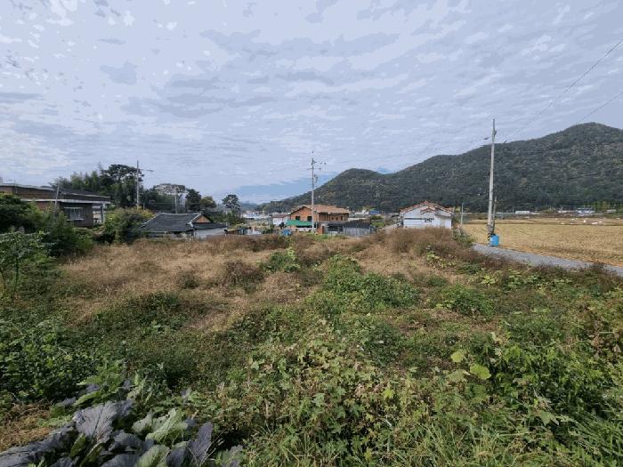 2025타경20989 법원경매 사진3 | 창원 마산합포구 대지 경매