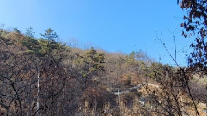 2025타경21011 법원경매 사진17 | 경남 의령군 임야 경매