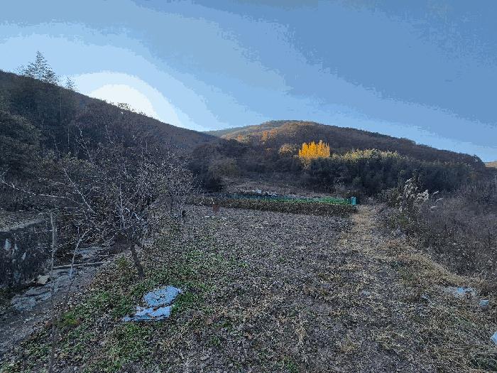 경상남도 의령군 정곡면 중교리 1098 법원경매 물건 대표사진