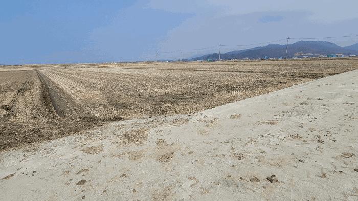 인천 강화군 삼산면 상리 1079 답 경매 물건 사진