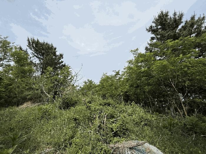 경상북도 울진군 기성면 사동리 347 법원경매 물건 대표사진