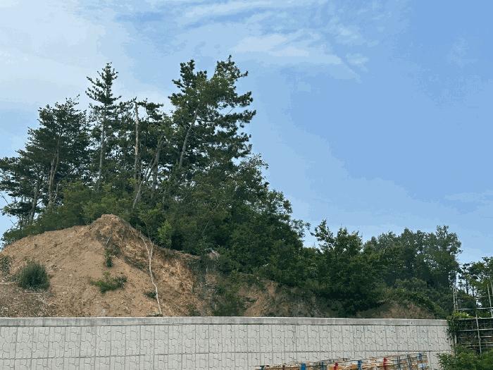 법원경매 2025타경10252 사진3 | 울진군 후포면 삼율리 530-80 대지,임야,전답 경매
