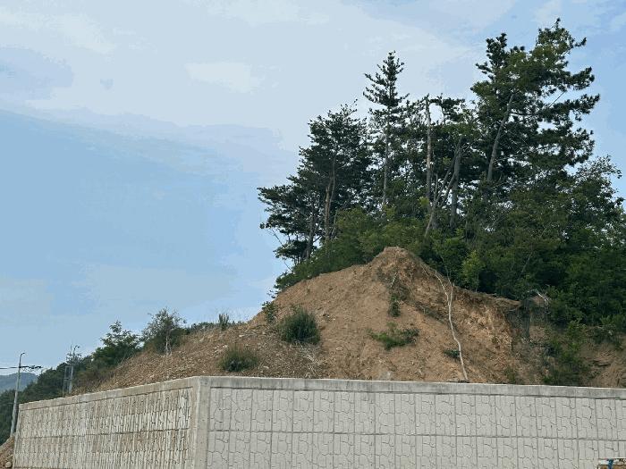 법원경매 2025타경10252 사진4 | 울진군 후포면 삼율리 530-80 대지,임야,전답 경매