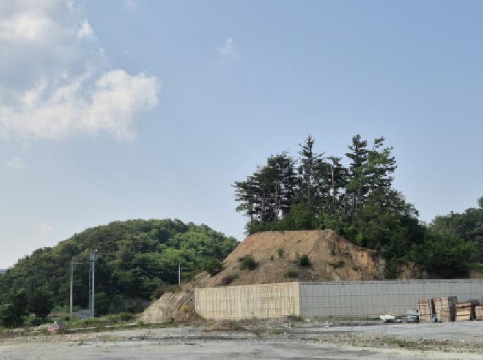 법원경매 2025타경10252 사진7 | 울진군 후포면 삼율리 530-80 대지,임야,전답 경매